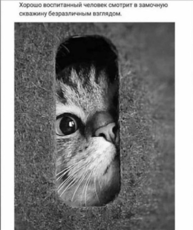 Смех в свободном формате — смешные фото | Bugaga