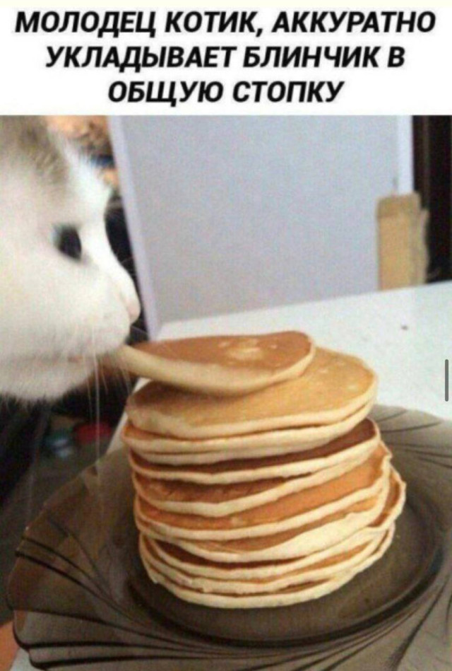 Юмор вне расписания — приколы | Bugaga