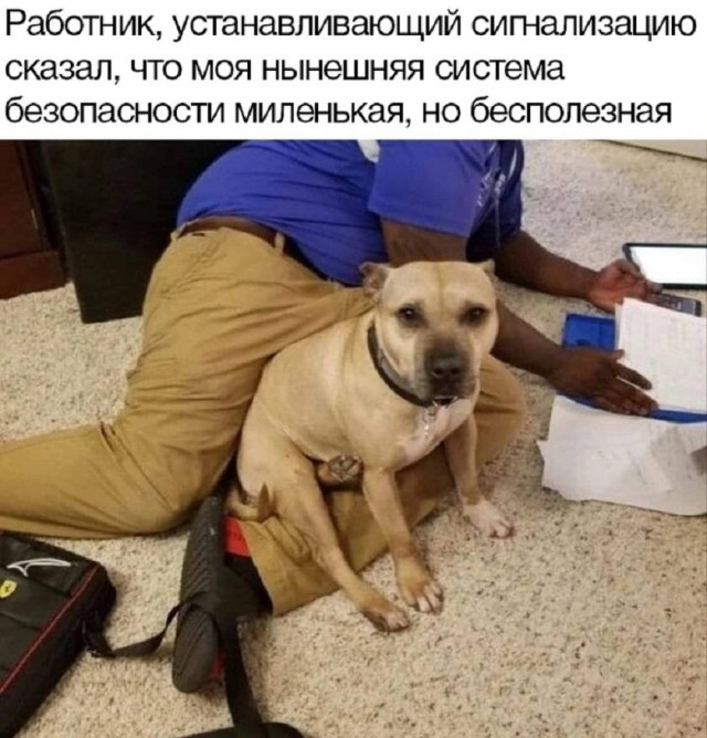 Беспорядок, который смешит — фото и мемы | Bugaga