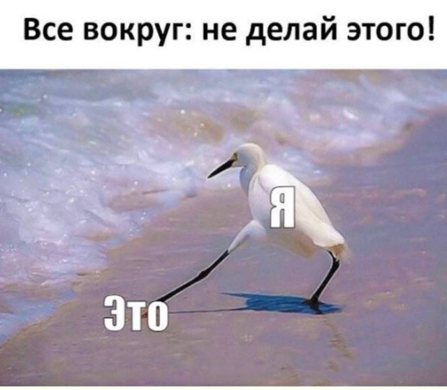 Просто потому что смешно — смешные фото | Bugaga