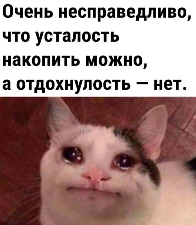 Просто новая порция мемов — смешные мемы | Bugaga