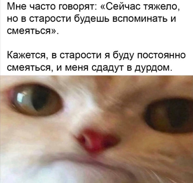 Коллекция интернет-настроения — смешные фото и мемы | Bugaga