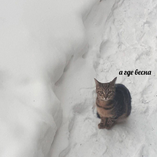 Хаос в квадрате — смешные фото | Bugaga