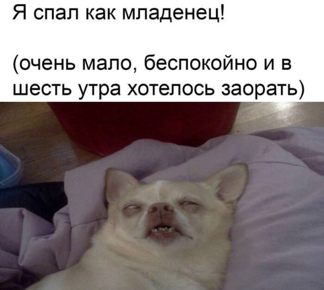 Сборная солянка настроения — мемы | Bugaga