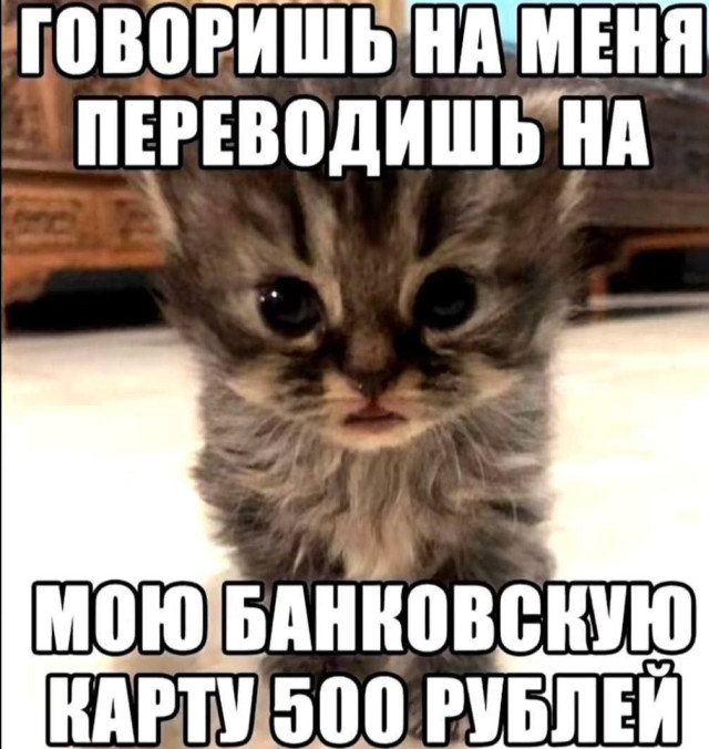 Доза хаотичного веселья — смешные фото | Bugaga