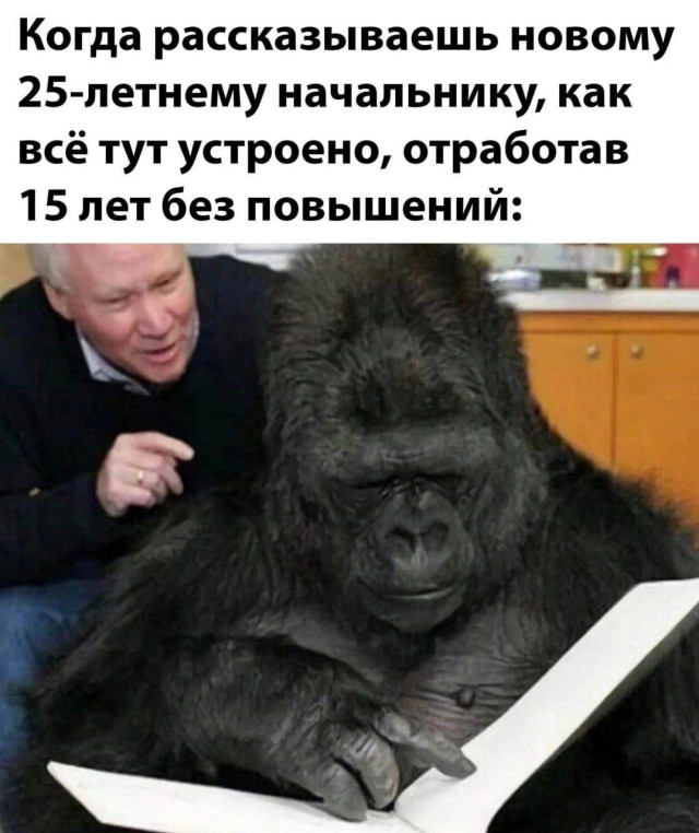 Мемы на грани — приколы для смелых | Bugaga