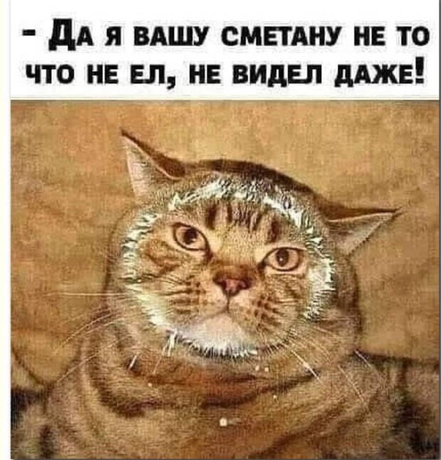 Хаос, но смешной — приколы | Bugaga