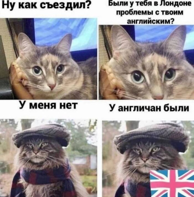 Набор случайной радости — смешные мемы | Bugaga