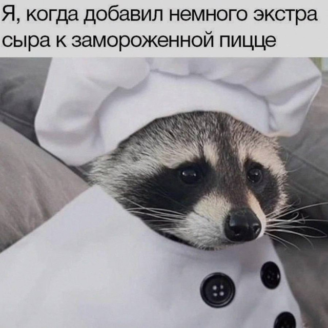 Мемный калейдоскоп — мемы на любой вкус | Bugaga