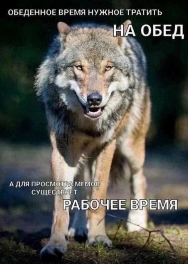 Генератор странного веселья — мемы | Bugaga