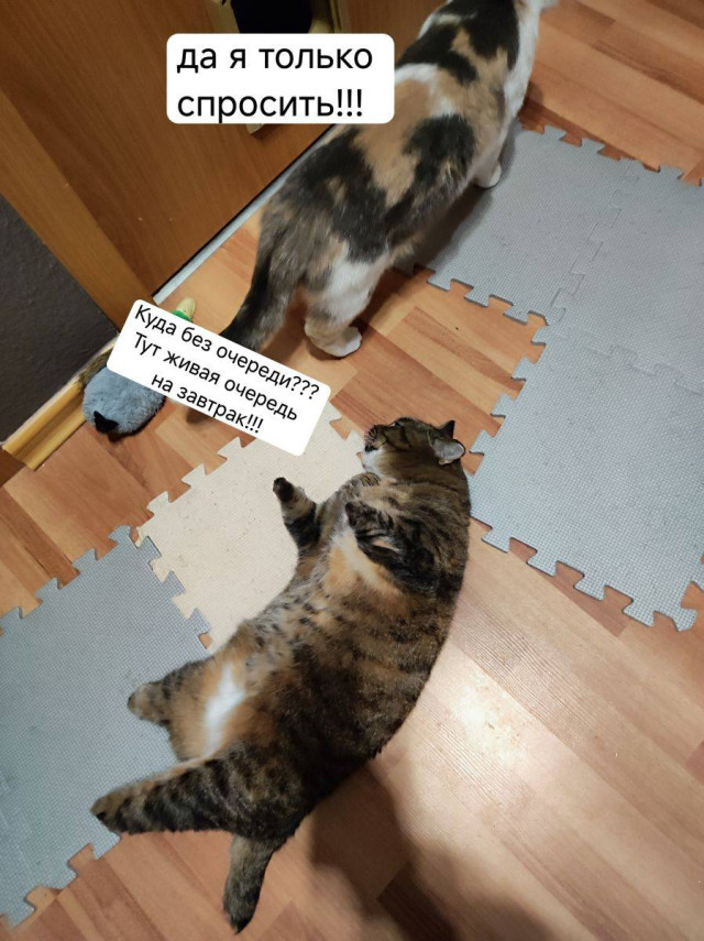 Нелепо, но гениально — смешные фото | Bugaga