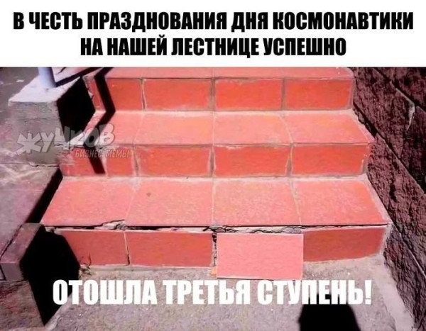 Мемный зоопарк — дикие фото, мемы и уморительные приколы | Bugaga