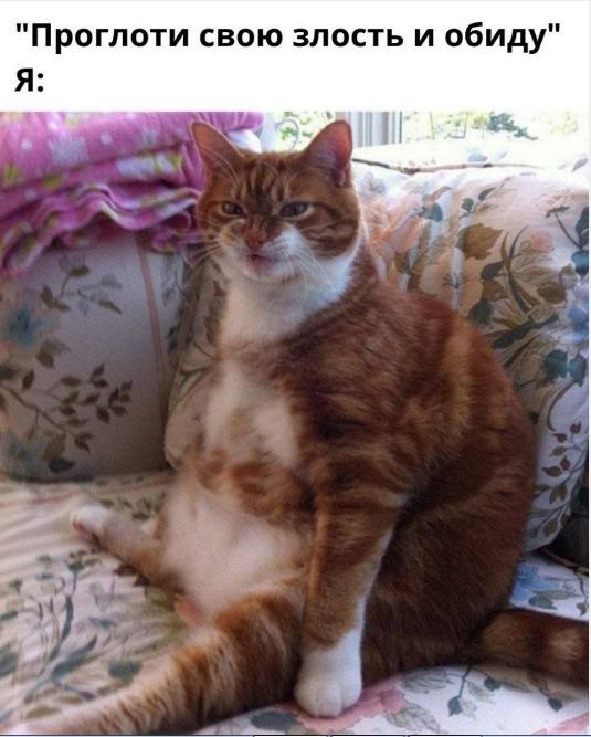 Порция случайного веселья — смешные мемы | Bugaga