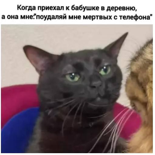 Когда смешно без причины — приколы | Bugaga