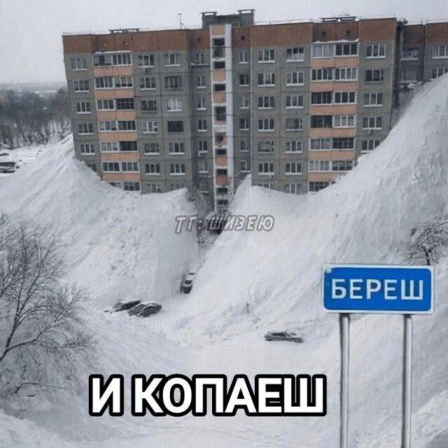 Непредсказуемый юмор — приколы и фото | Bugaga