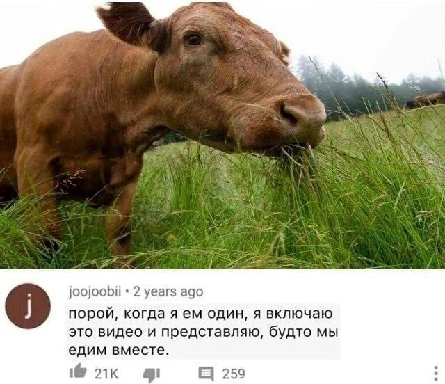 Мемы, от которых мозг уходит в отпуск — свежие приколы | Bugaga