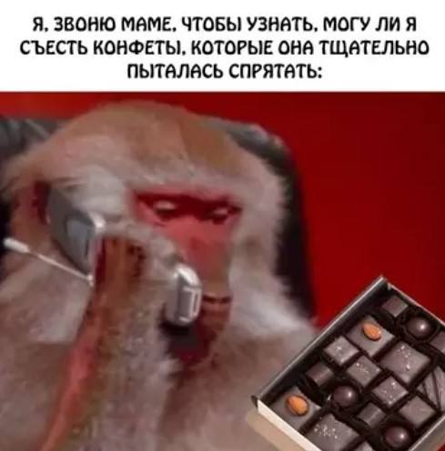 Мемопад 3000 — лавинообразные приколы и смешные фото | Bugaga