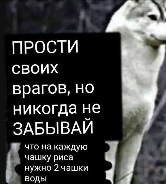 Мемный рай для ленивых — смех без усилий | Bugaga