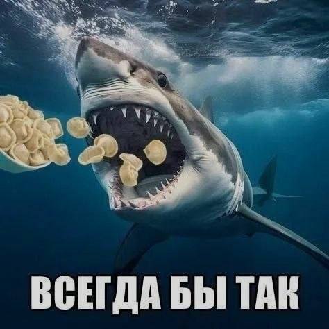 Юморный взрыв — сборник смешных мемов | Bugaga