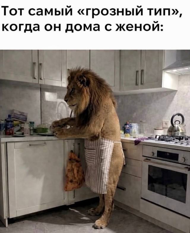 Коктейль из случайного веселья — смешные мемы | Bugaga