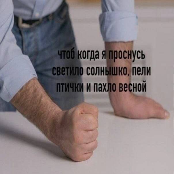 Мемы без границ — фото и приколы на любой вкус | Bugaga