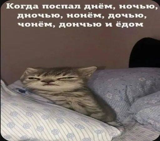 Хохотушки и мемоделики — сборник смеха | Bugaga