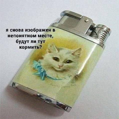 Смехотерапия — мемы, которые лечат | Bugaga