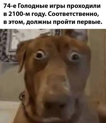 Юмор на грани — смешные фото | Bugaga