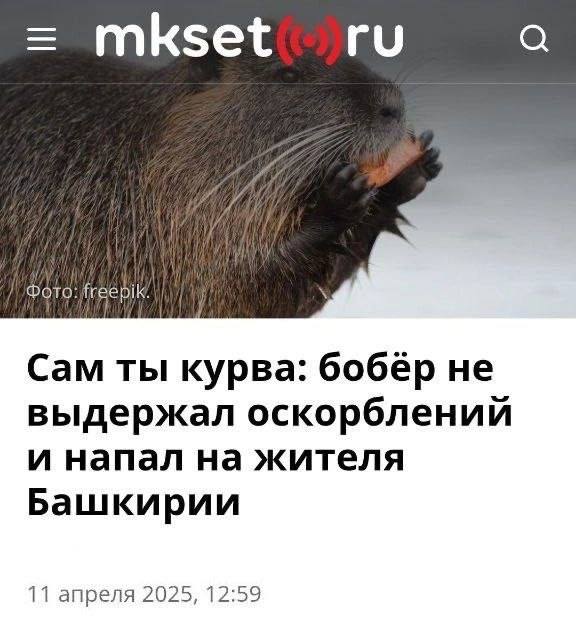 Лови волну абсурда — приколы | Bugaga