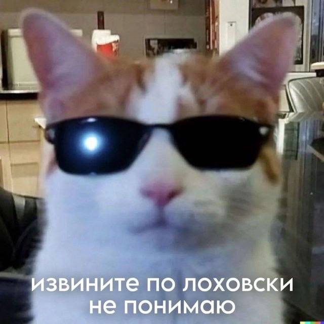 Угарный калейдоскоп — приколы на любой вкус | Bugaga