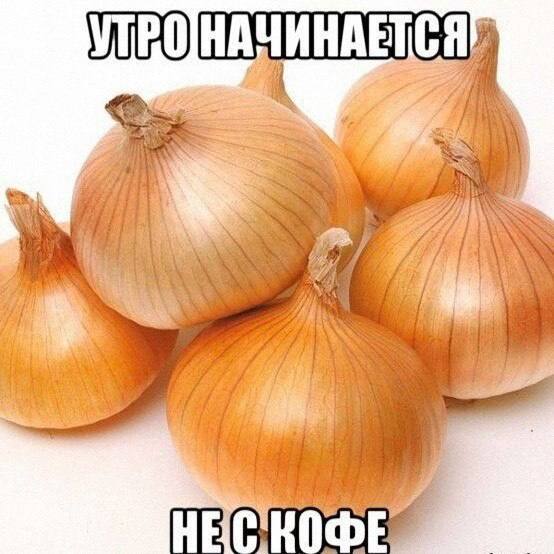 Когда мозг отдыхает — смешные фото и мемы | Bugaga