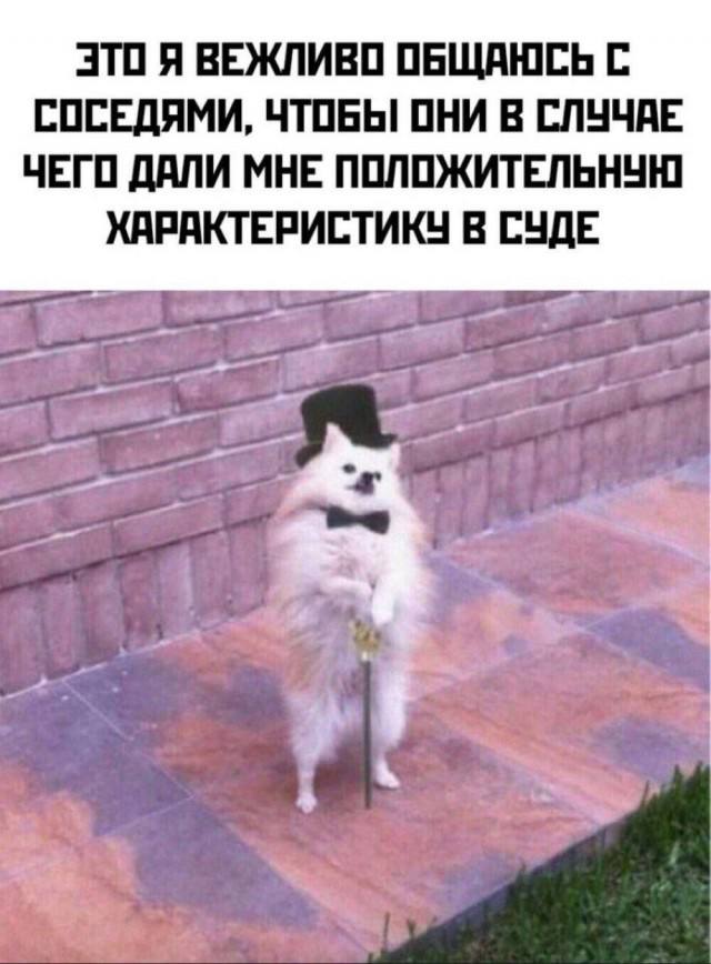 Коктейль из случайного веселья — смешные мемы | Bugaga