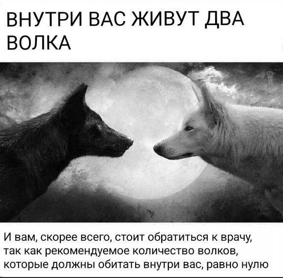 Мемный рай для ленивых — смех без усилий | Bugaga