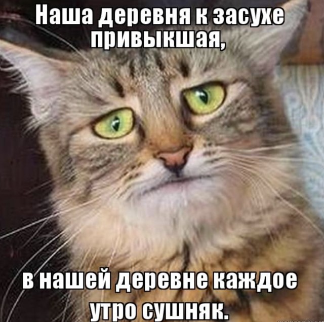 Сборная Солянка по Реальности — мемы и весёлые картинки | Bugaga