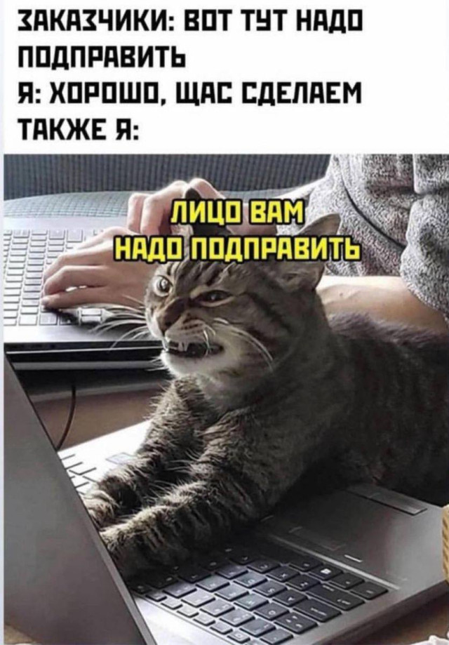 Смех без причины — приколы | Bugaga