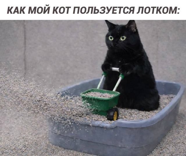 Карусель хаоса — смешные мемы | Bugaga