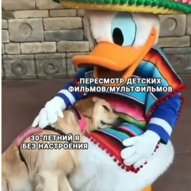 Интернет как он есть — смешные фото | Bugaga