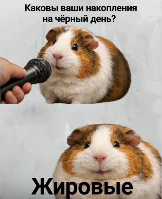 Бомбардировка позитивом — жёсткие мемы и смешные приколы | Bugaga