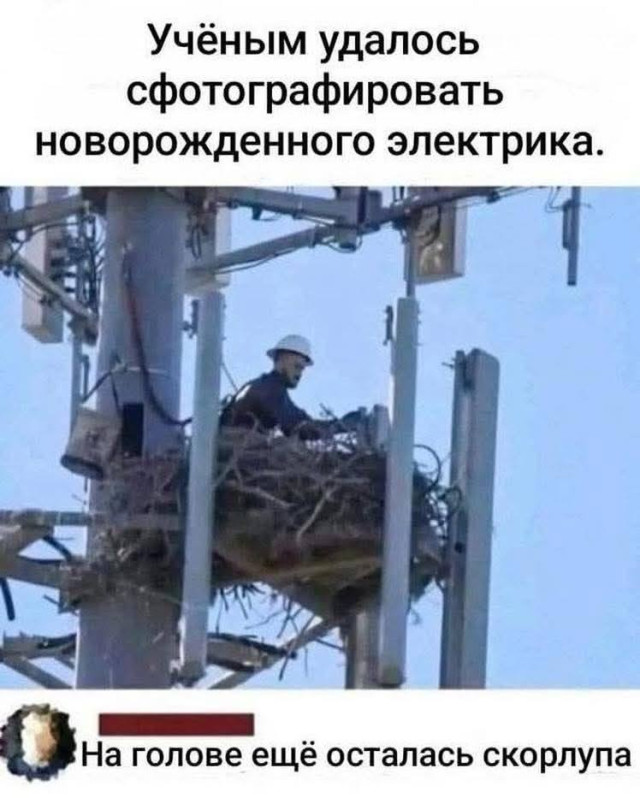 Набор настроений — смешные мемы | Bugaga