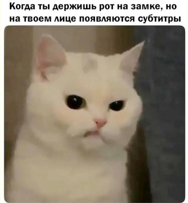 Сборник внезапного веселья — смешные приколы | Bugaga