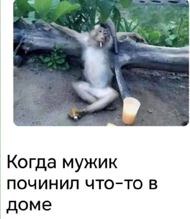 Разрыв шаблонов — смешные мемы | Bugaga