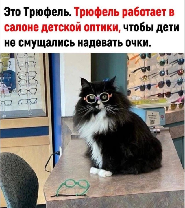 Алгоритм хорошего дня — смешные фото | Bugaga