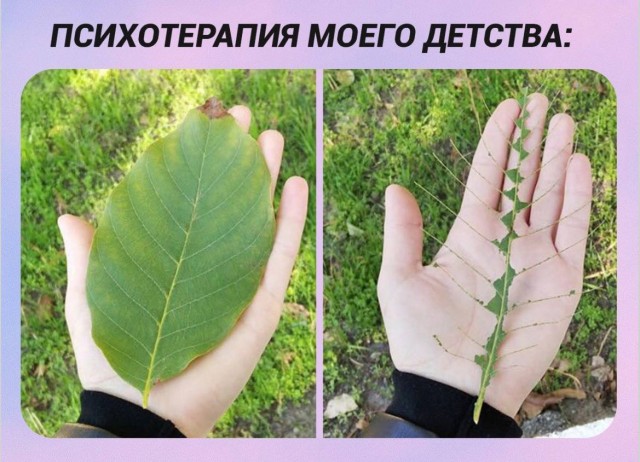 Хаос в чистом виде — безумные мемы и эпичные приколы | Bugaga