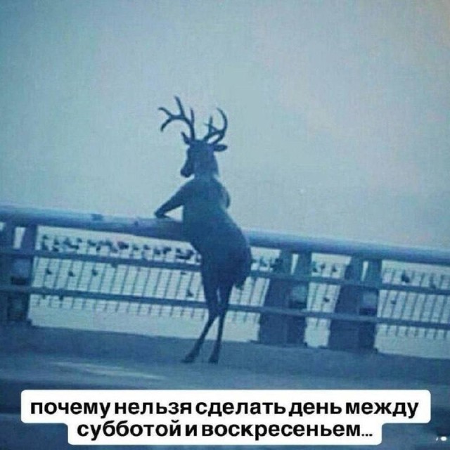 Хохотушки и мемоделики — сборник смеха | Bugaga