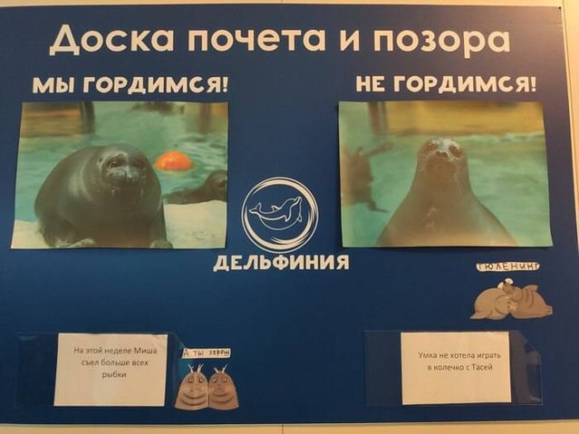 Лови волну абсурда — приколы | Bugaga