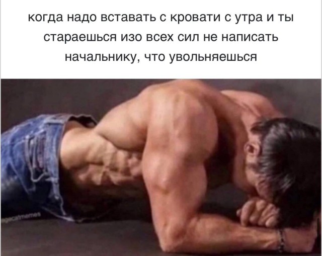 Мемная терапия 2026 — актуальные приколы и фото | Bugaga