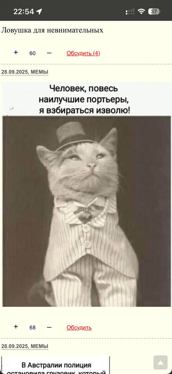 Полка абсурда: выше только звезды — мемы | Bugaga