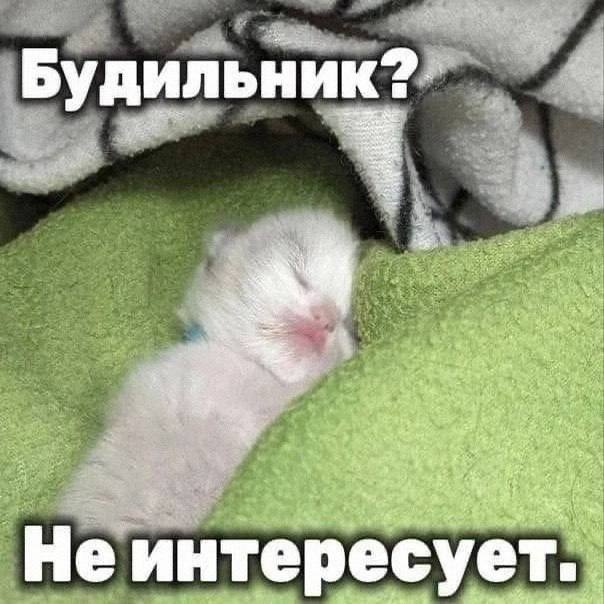 50 Оттенков Угара — мощный мемный микс | Bugaga