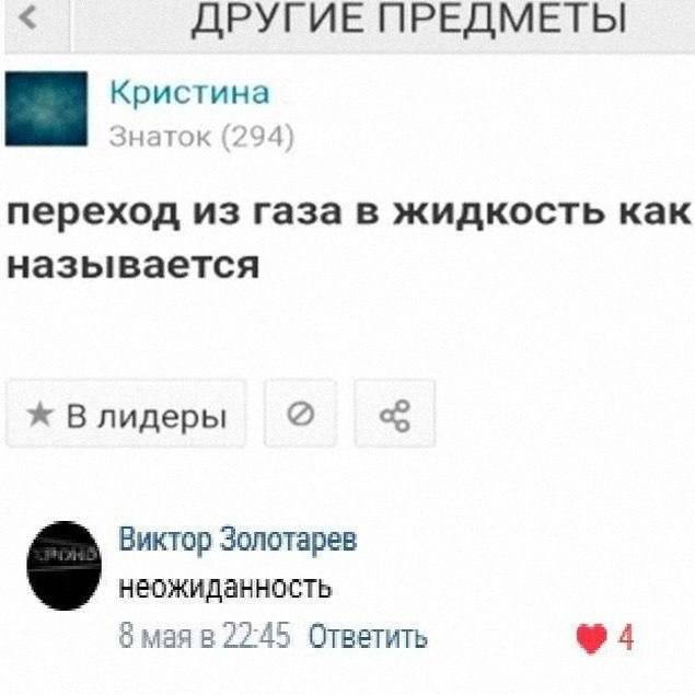 Кот в Мешке Мемов — сюрприз для ваших глаз | Bugaga