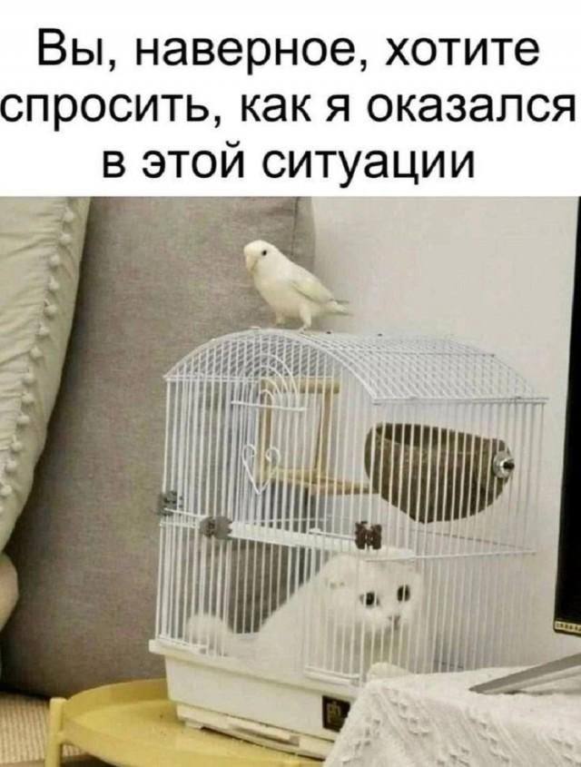 Когда Жизнь — Это Сплошной Плейлист Мемов | Bugaga
